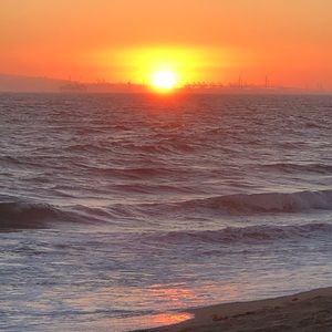 Meet your Posher, Thelma